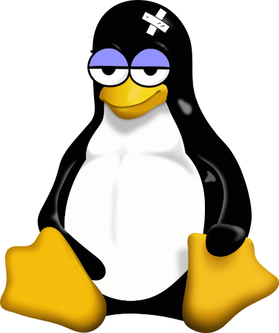 Vulnerabilidad crítica en el kernel de Linux